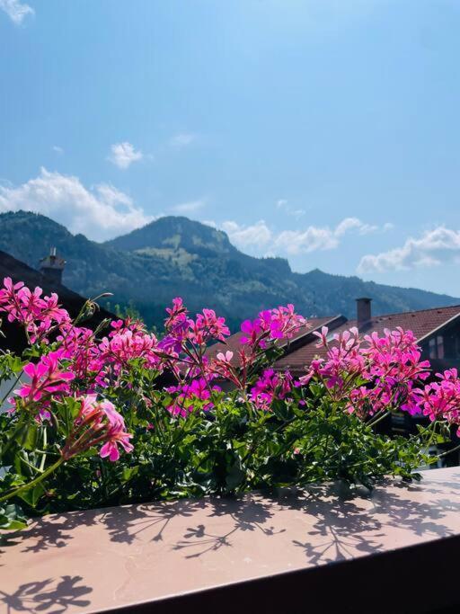 Berge, Wandern, Erholung Pur! Fewo Tinka-Haus Katja Bad Hindelang Zewnętrze zdjęcie