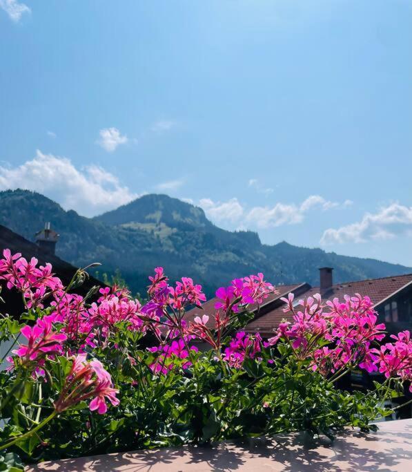 Berge, Wandern, Erholung Pur! Fewo Tinka-Haus Katja Bad Hindelang Zewnętrze zdjęcie